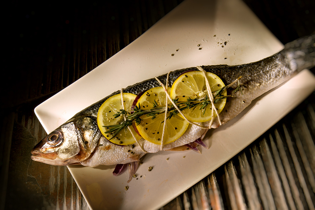 Fish