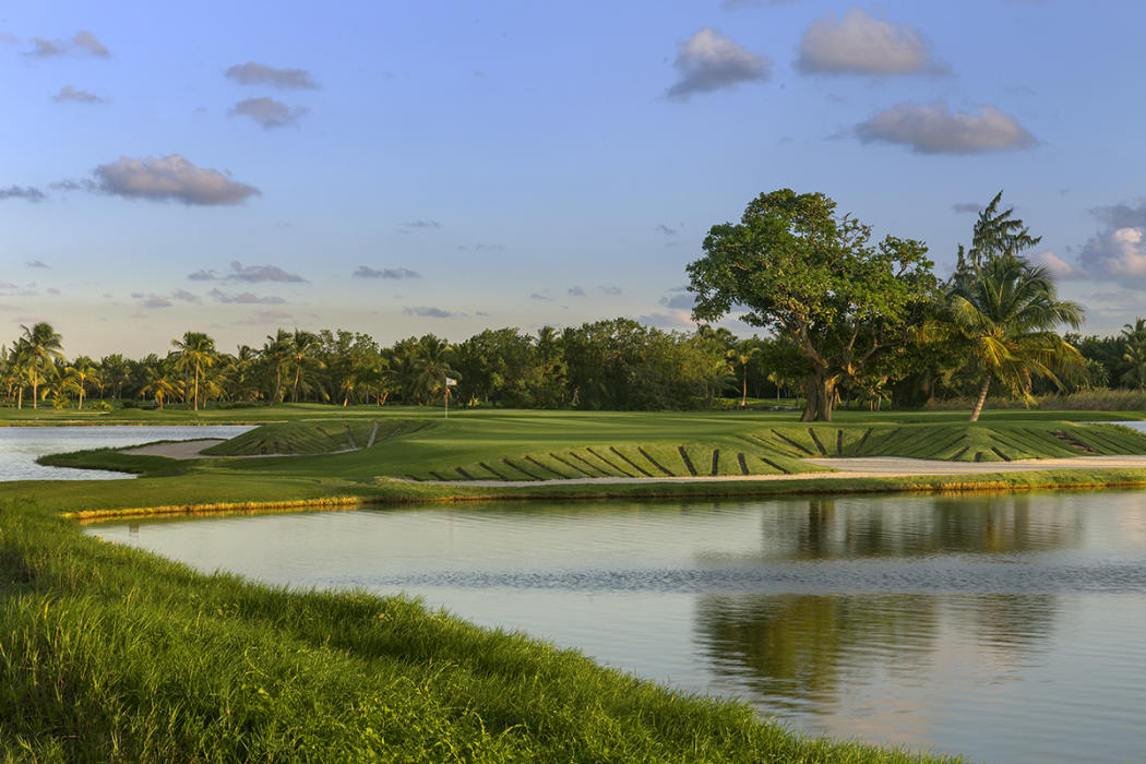 The Lakes at Bavaro No 9
Punta Cana Dominican Republic